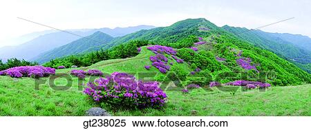 Stock Photography - Korea, outdoor, daytime, daylight, daylandscape, scene, scenery. Fotosearch