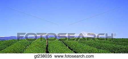 Korea, outdoor, daytime, daylight, daylandscape, scene, scenery View Large Photo Image Stock Photography - Korea, outdoor, daytime, daylight, daylandscape, scene, scenery. Fotosearch