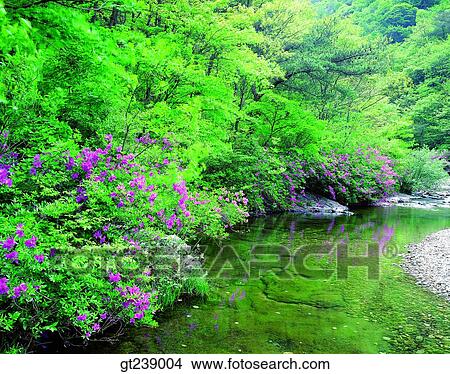 Picture - Korea, exterior, day, daytime, daylight, Juwangsan valley, Juwang mountain. Fotosearch