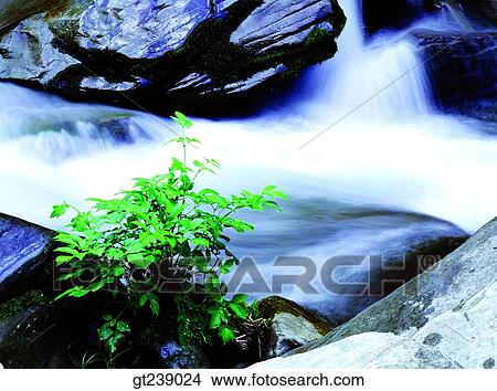 Picture - Korea, exterior, day, daytime, daylight, Gucheondong valley, Muju. Fotosearch
