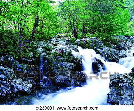 Stock Image - Korea, exterior, day, daytime, daylight, Kangwondo, Heugjun valley. Fotosearch