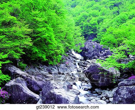 Stock Image - Korea, exterior, day, daytime, daylight, valley, Chiri mountain. Fotosearch