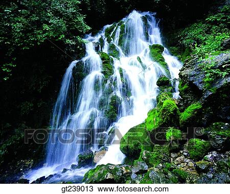 Stock Image - Korea, exterior, day, daytime, daylight, Taeback mountain, watercourse. Fotosearch