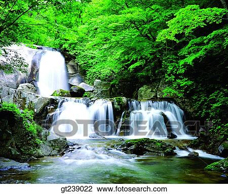 Korea, exterior, day, daytime, daylight, Bangtae mountain valley, Bangtae mountain View Large Photo Image Stock Image - Korea, exterior, day, daytime, daylight, Bangtae mountain valley, Bangtae mountain. Fotosearch