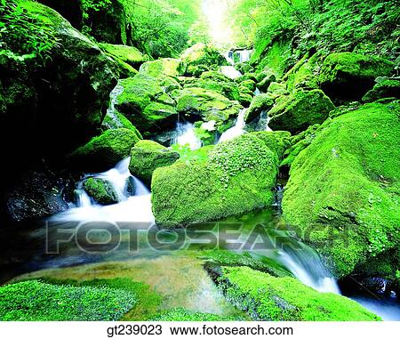 Korea, exterior, day, daytime, daylight, Chiri mountain, Chiri valley View Large Photo Image Stock Image - Korea, exterior, day, daytime, daylight, Chiri mountain, Chiri valley. Fotosearch