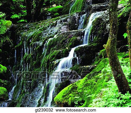 Stock Image - Korea, exterior, day, daytime, daylight, Taeback mountain, watercourse. Fotosearch