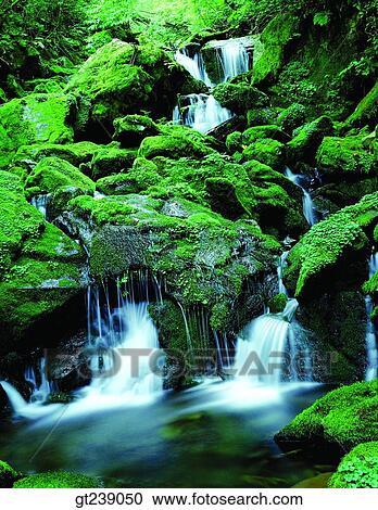 Korea, exterior, day, daytime, daylight, Gariwangsan valley, Gariwang mountain View Large Photo Image Stock Image - Korea, exterior, day, daytime, daylight, Gariwangsan valley, Gariwang mountain. Fotosearch