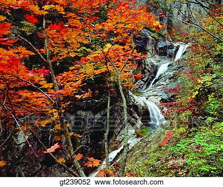Stock Image - Korea, exterior, day, daytime, daylight, Sorak mountain, sorak mountain. Fotosearch