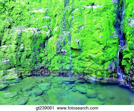 Korea, exterior, day, daytime, daylight, Chiri mountain, Chiri View Large Photo Image Stock Image - Korea, exterior, day, daytime, daylight, Chiri mountain, Chiri. Fotosearch