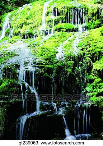 Korea, exterior, day, daytime, daylight, Taeback mountain, waterfall View Large Photo Image Stock Image - Korea, exterior, day, daytime, daylight, Taeback mountain, waterfall. Fotosearch