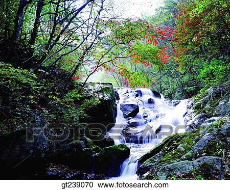 Stock Image - Korea, exterior, day, daytime, daylight, Kangwondo, valley. Fotosearch