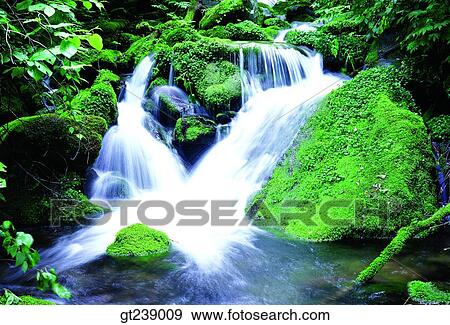 Korea, exterior, day, daytime, daylight, Gariwangsan valley, Gariwang mountain View Large Photo Image Stock Photo - Korea, exterior, day, daytime, daylight, Gariwangsan valley, Gariwang mountain. Fotosearch