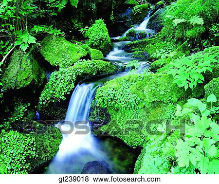 Korea, exterior, day, daytime, daylight, Gariwangsan valley, Gariwang mountain View Large Photo Image Stock Photo - Korea, exterior, day, daytime, daylight, Gariwangsan valley, Gariwang mountain. Fotosearch