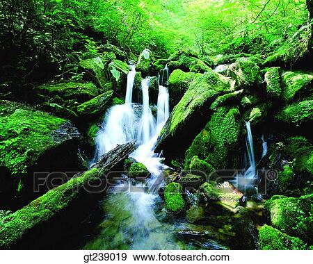 Stock Photo - Korea, exterior, day, daytime, daylight, Gariwangsan valley, Gariwang mountain. Fotosearch