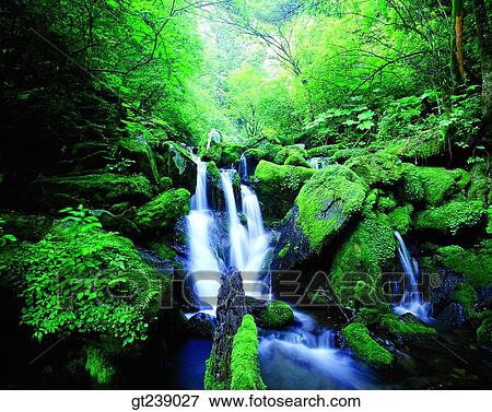 Korea, exterior, day, daytime, daylight, Gariwangsan valley, Gariwang mountain View Large Photo Image Stock Photo - Korea, exterior, day, daytime, daylight, Gariwangsan valley, Gariwang mountain. Fotosearch
