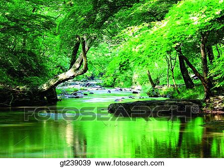 Korea, exterior, day, daytime, daylight, Kangwondo, moss View Large Photo Image Stock Photo - Korea, exterior, day, daytime, daylight, Kangwondo, moss. Fotosearch
