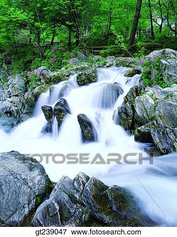 Korea, exterior, day, daytime, daylight, Heugjun valley, rock View Large Photo Image Stock Photo - Korea, exterior, day, daytime, daylight, Heugjun valley, rock. Fotosearch