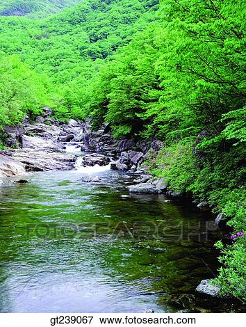 Korea, exterior, day, daytime, daylight, Chiri mountain, Chiri View Large Photo Image Stock Photo - Korea, exterior, day, daytime, daylight, Chiri mountain, Chiri. Fotosearch