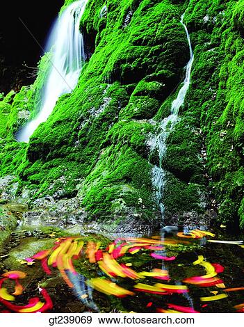 Korea, exterior, day, daytime, daylight, Taeback mountain, waterfall View Large Photo Image Stock Photo - Korea, exterior, day, daytime, daylight, Taeback mountain, waterfall. Fotosearch