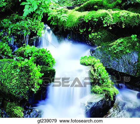 Korea, exterior, day, daytime, daylight, Muleung valley, summer View Large Photo Image Stock Photo - Korea, exterior, day, daytime, daylight, Muleung valley, summer. Fotosearch