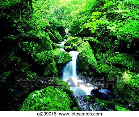 Stock Photograph - Korea, exterior, day, daytime, daylight, Muleung valley, summer. Fotosearch