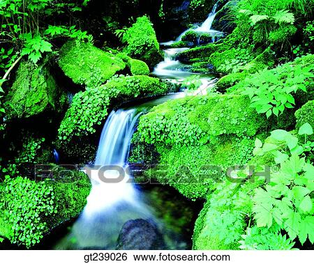Stock Photograph - Korea, exterior, day, daytime, daylight, Gariwangsan valley, Gariwang mountain. Fotosearch