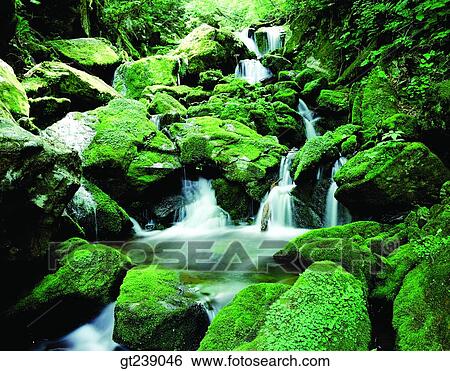 Korea, exterior, day, daytime, daylight, Gariwangsan valley, Gariwang mountain View Large Photo Image Stock Photograph - Korea, exterior, day, daytime, daylight, Gariwangsan valley, Gariwang mountain. Fotosearch