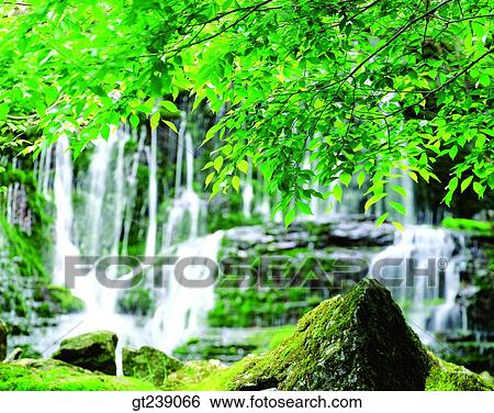 Stock Photograph - Korea, exterior, day, daytime, daylight, Bamsagoal, moss. Fotosearch