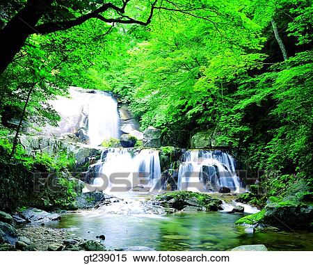 Korea, exterior, day, daytime, daylight, Bangtae mountain, valley View Large Photo Image Stock Photography - Korea, exterior, day, daytime, daylight, Bangtae mountain, valley. Fotosearch