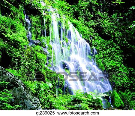 Stock Photography - Korea, exterior, day, daytime, daylight, Chiri mountain, Chiri. Fotosearch