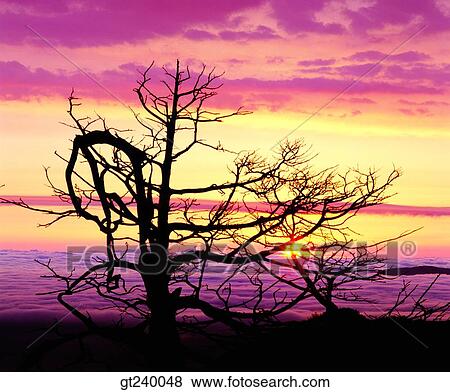 Stock Photo - exterior, outdoor, sunset, night, red sky, sunrise, sunup. Fotosearch