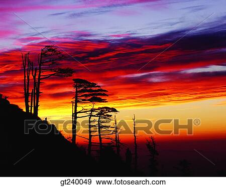 exterior, outdoor, sunset, night, red sky, sunrise, sunup View Large Photo Image Stock Photo - exterior, outdoor, sunset, night, red sky, sunrise, sunup. Fotosearch