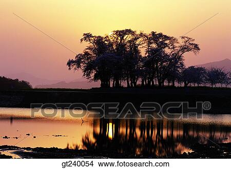 outdoor, exterior, night, sundown, red sky, river, tree View Large Photo Image Picture - outdoor, exterior, night, sundown, red sky, river, tree. Fotosearch