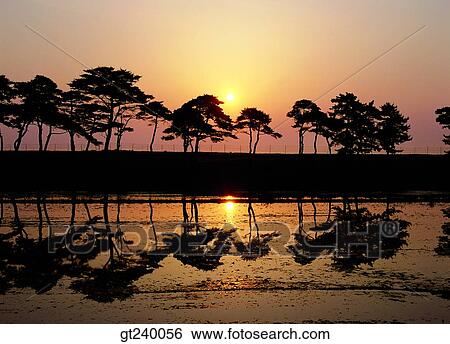 outdoor, exterior, night, sundown, red sky, river, tree View Large Photo Image Stock Photograph - outdoor, exterior, night, sundown, red sky, river, tree. Fotosearch