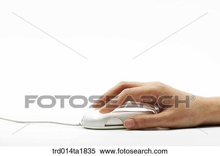 Stock Photography - person, oriental, Korean, Asian, young man, business. Fotosearch