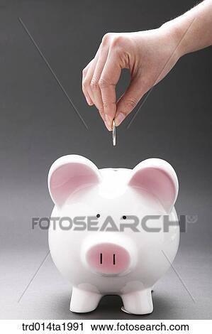 person, business, businessman, savings box, pigsavings box, saving, coin View Large Photo Image Stock Image - person, business, businessman, savings box, pigsavings box, saving, coin. Fotosearch