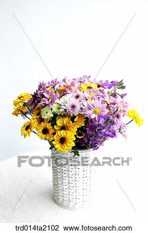 chrysanthemum, decoration, flower vase, flower, plant, indoor, object View Large Photo Image Stock Image - chrysanthemum, decoration, flower vase, flower, plant, indoor, object. Fotosearch