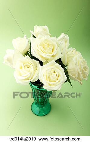 Stock Photo - flower vase, decoration, rose, white rose, rose flower, plant, flower. Fotosearch