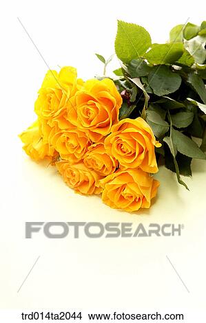 flower vase, decoration, rose, yellow rose, rose flower, plant, flower View Large Photo Image Picture - flower vase, decoration, rose, yellow rose, rose flower, plant, flower. Fotosearch