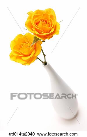 Stock Image - flower vase, decoration, rose, yellow rose, rose flower, plant, flower. Fotosearch