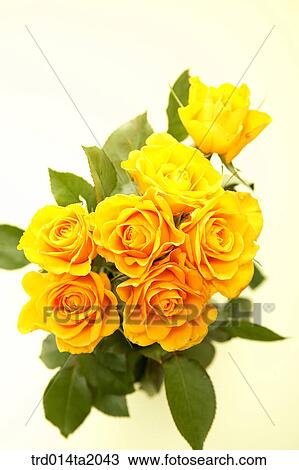 Stock Image - flower vase, decoration, rose, yellow rose, rose flower, plant, flower. Fotosearch