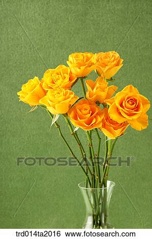 flower vase, decoration, rose, yellow rose, rose flower, plant, flower View Large Photo Image Stock Photograph - flower vase, decoration, rose, yellow rose, rose flower, plant, flower. Fotosearch
