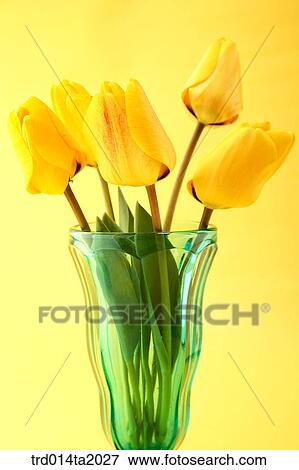 flower vase, decoration, tulip, flower, plant, indoor, blossom View Large Photo Image Stock Photo - flower vase, decoration, tulip, flower, plant, indoor, blossom. Fotosearch