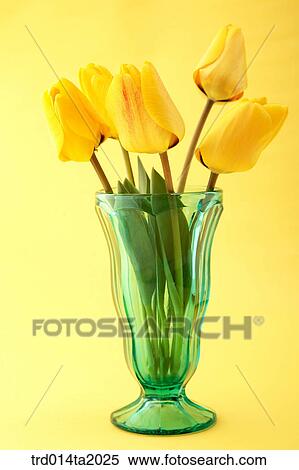 flower vase, decoration, tulip, flower, plant, indoor, blossom View Large Photo Image Stock Photography - flower vase, decoration, tulip, flower, plant, indoor, blossom. Fotosearch