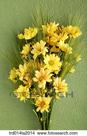 flowerbunch, chrysanthemum, flower, plant, indoor, blossom View Large Photo Image Picture - flowerbunch, chrysanthemum, flower, plant, indoor, blossom. Fotosearch