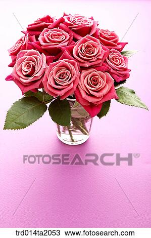 rose, rose flower, plant, flower vase, decoration, flower, plant View Large Photo Image Stock Image - rose, rose flower, plant, flower vase, decoration, flower, plant. Fotosearch