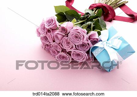 rose, rose flower, plant, flower vase, decoration, present, flower View Large Photo Image Stock Photo - rose, rose flower, plant, flower vase, decoration, present, flower. Fotosearch