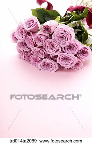 Stock Photo - rose, rose flower, plant, flower vase, decoration, flower, plant. Fotosearch