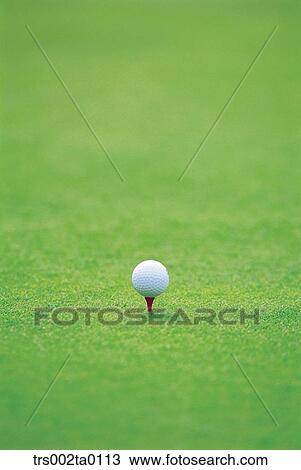outdoor, daylight, golf, golf ball, leisure, sports, golf links View Large Photo Image Stock Image - outdoor, daylight, golf, golf ball, leisure, sports, golf links. Fotosearch