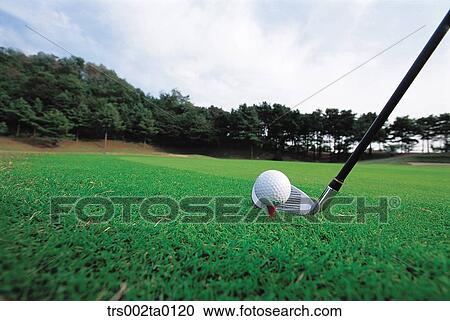 outdoor, daylight, golf, golf ball, leisure, sports, golf links View Large Photo Image Stock Image - outdoor, daylight, golf, golf ball, leisure, sports, golf links. Fotosearch